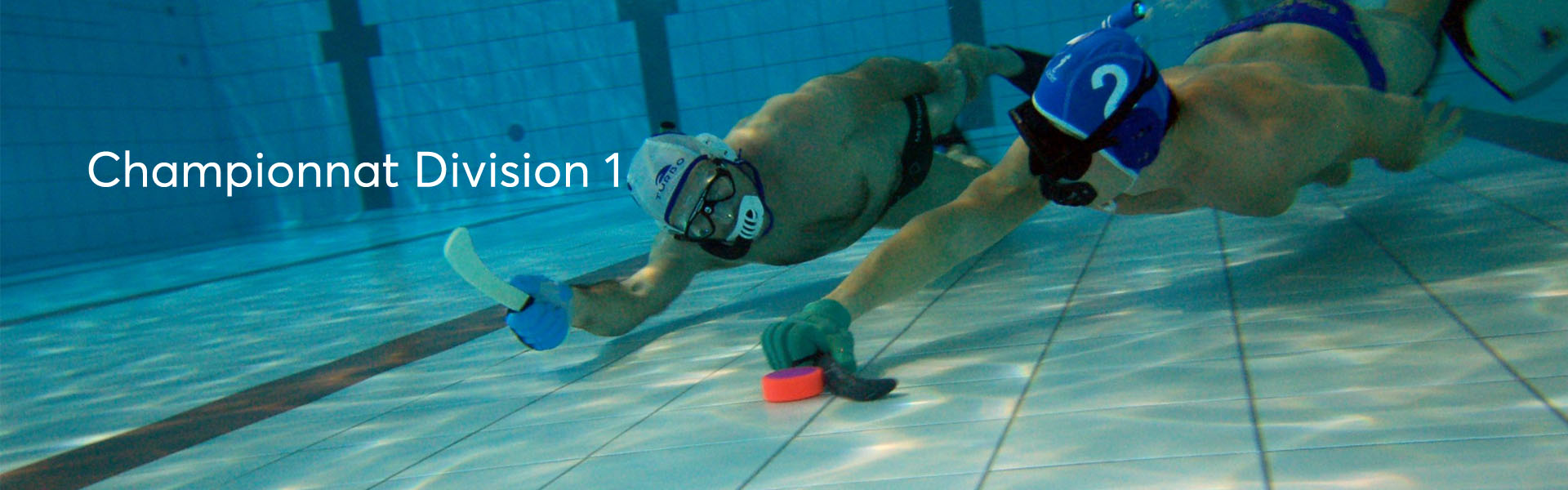 Championnat D1M